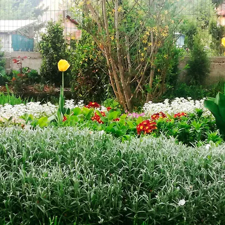Amelaa Apartment Kulen Vakuf